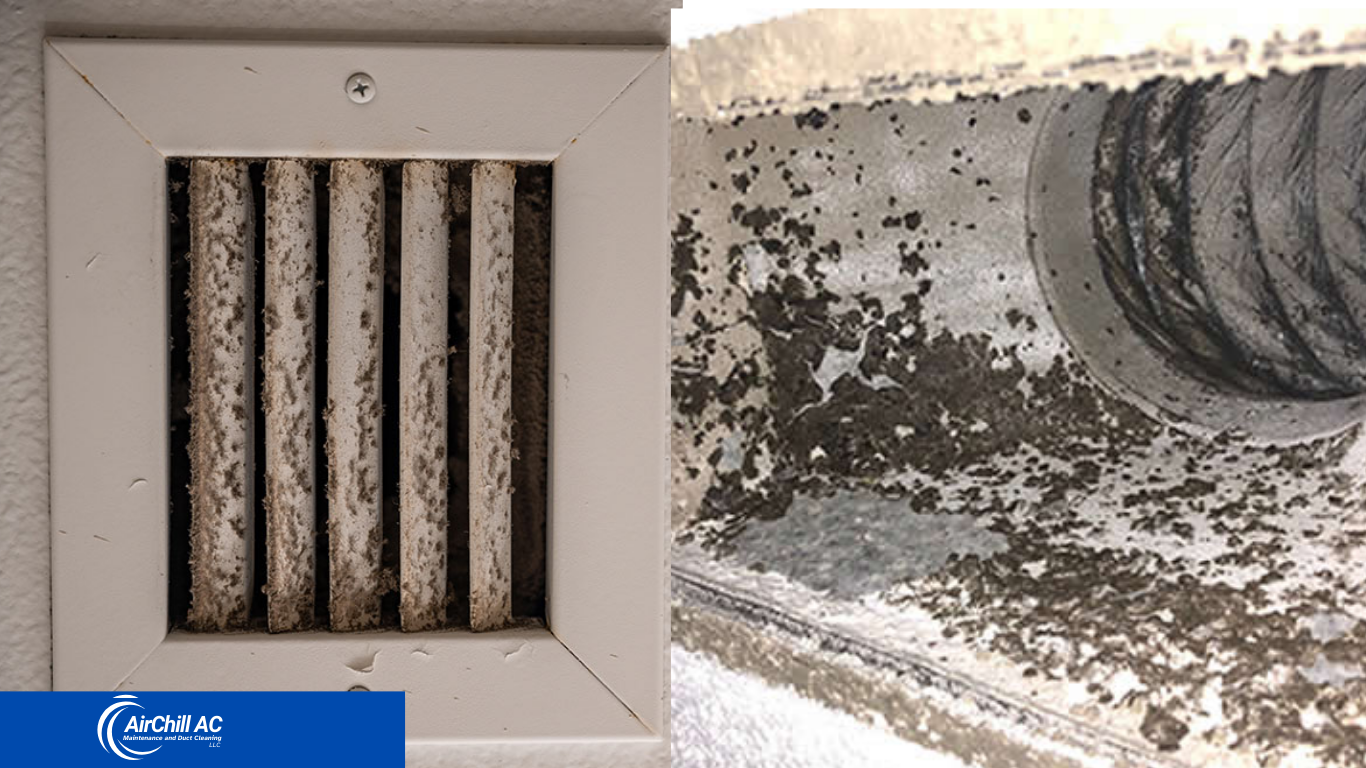 Causes of Mold in Air Ducts and AC Vents